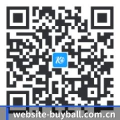 系统版 iOS 二维码